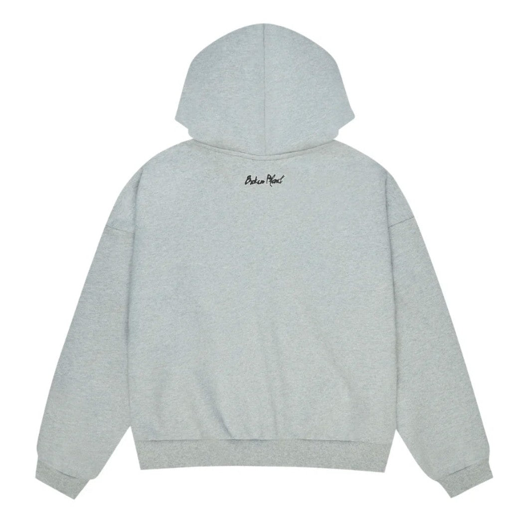 Broken Planet Sun Zip Up Hoodie ‘Grey’, alternate view 2