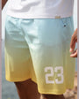Last Lesson Gradient Shorts
