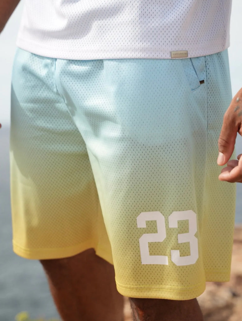 Last Lesson Gradient Shorts