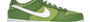 Kids Nike Dunk Chlorophyll